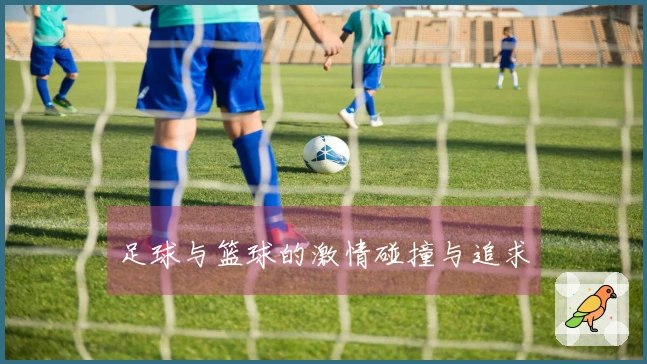 足球与篮球的激情碰撞与追求