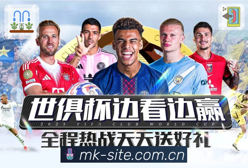 专题化更新与沉淀展示